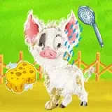 Baby Taylor Farm Tour Caring Animals