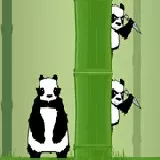 Bamboo Panda