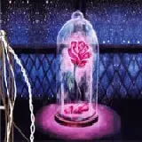 Belle Friendship Memories