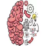 Brain Test