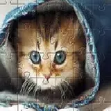 Cute Cat Jigsaw Puzzle