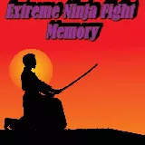Extreme Ninja Fight Memory