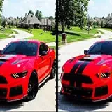 Fancy Mustang Differences