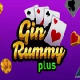 Gin Rummy Plus
