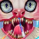 Kitty Dental Caring