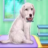 Labrador At The Doctor Salon