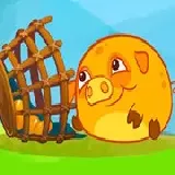 Mango Piggy Piggy Farm Harvest