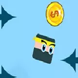 Ninja Jump
