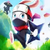 Ninja Rabbit