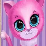 Pet Haircut Beauty Salon