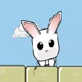 Rabbit Jump