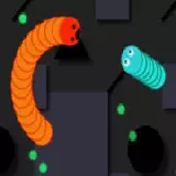 Snake Worm
