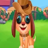 Stray Puppy Pet Care