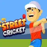 Street Cricket