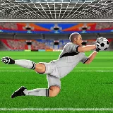 Auditions des super gardiens