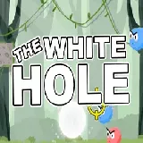 The White Hole
