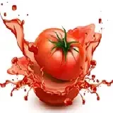 Tomato Explosion