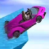 Water Surfer Car Stunt