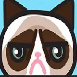 Which Meme Cat Are You?