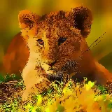 Wild Baby Animals Jigsaw